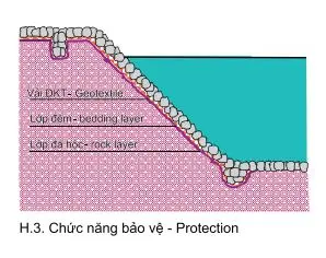Chức năng bảo vệ của vải địa trồng cây
