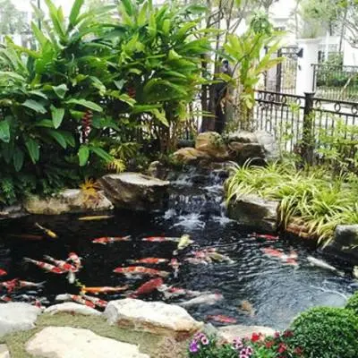 Màng chống thấm HDPE lót bể cá bể nước hồ tiểu cảnh
