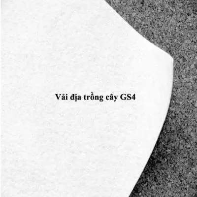 Vai-dia-trong-cay-gs4 Vải địa trồng cây GS4