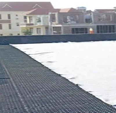 Vải địa trồng cây phân cách
