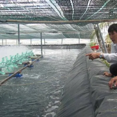 Lót hồ màng chống thấm HDPE